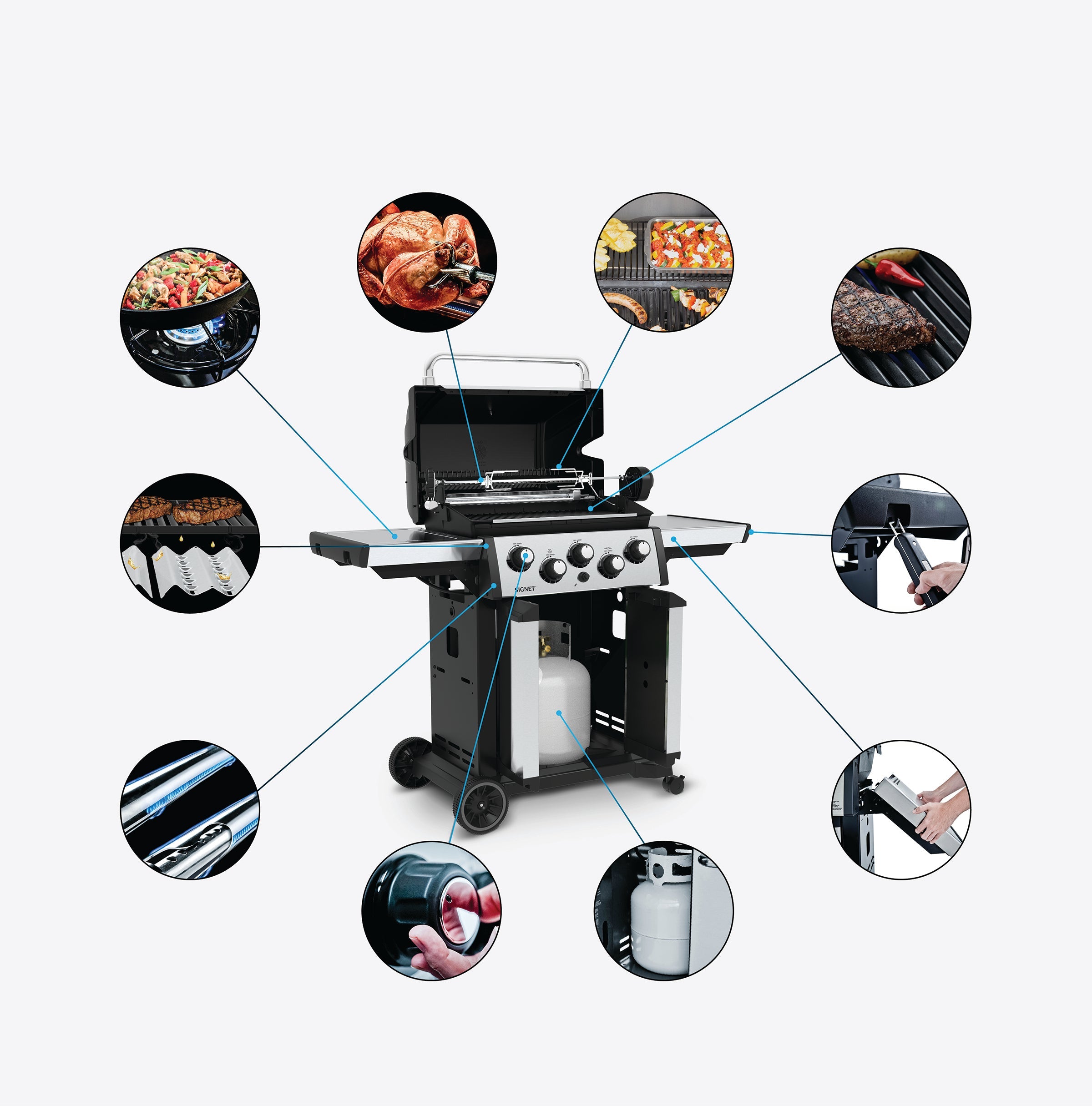 Grill Anatomy Image
